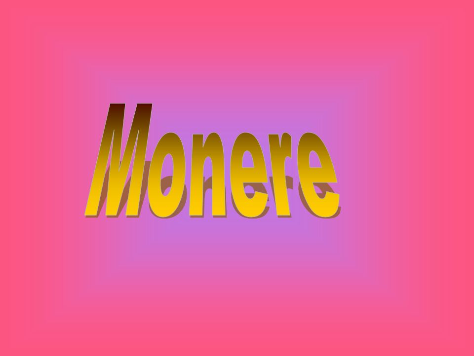 Monere