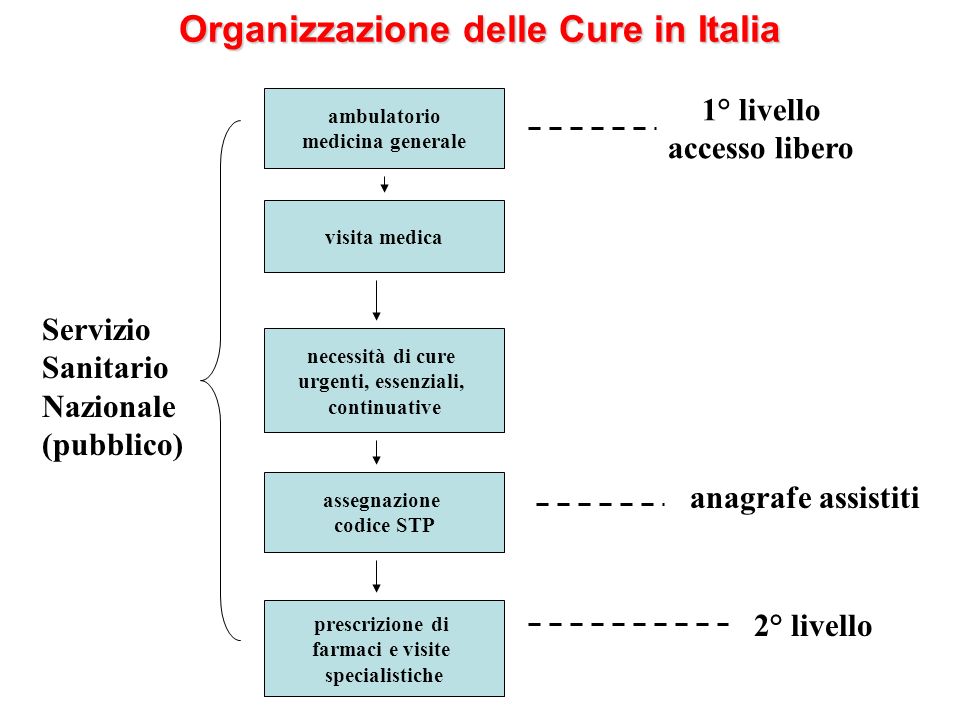Organizzazione delle Cure in Italia