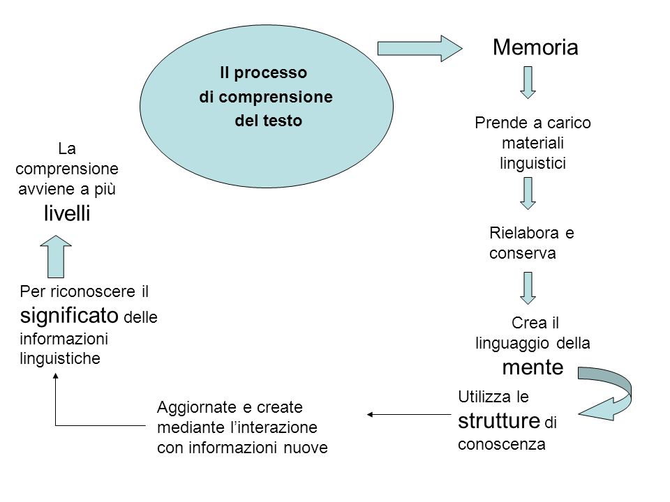 Memoria Il processo di comprensione del testo