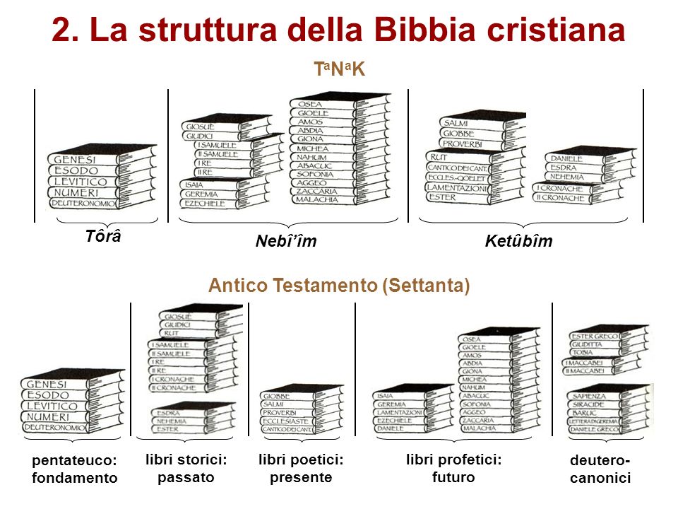 2. La struttura deIla Bibbia cristiana