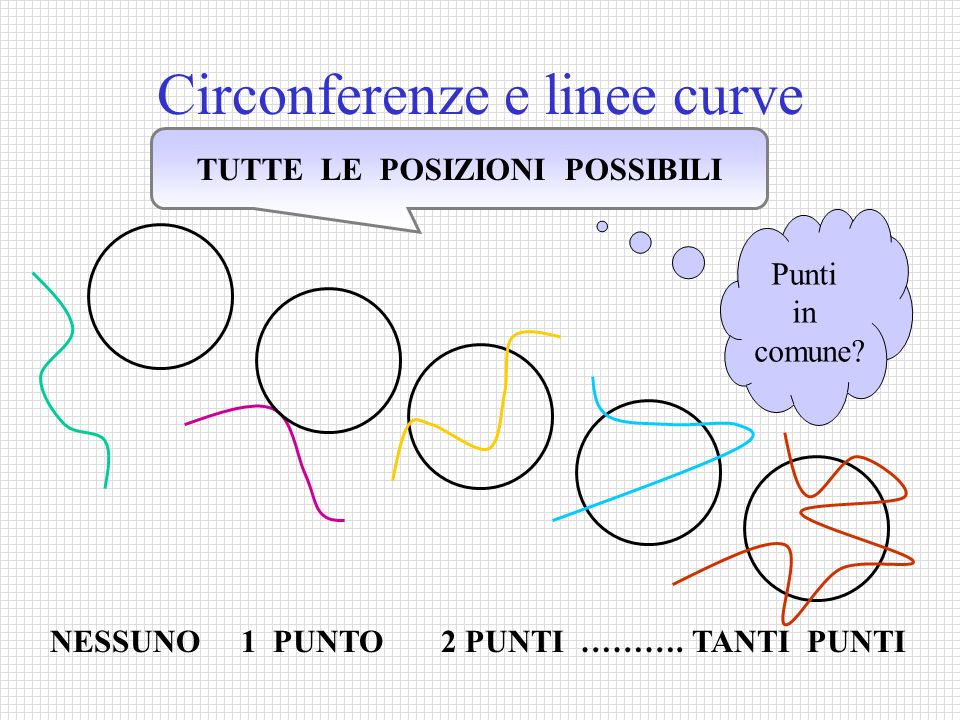 Circonferenze e linee curve