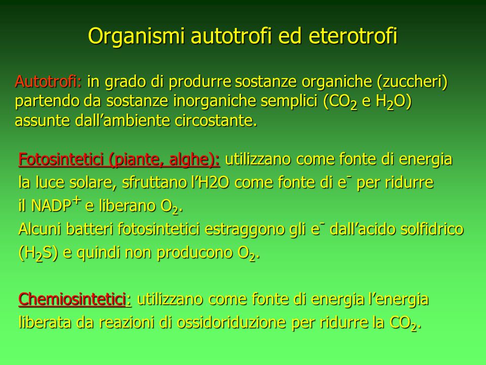 Organismi autotrofi ed eterotrofi