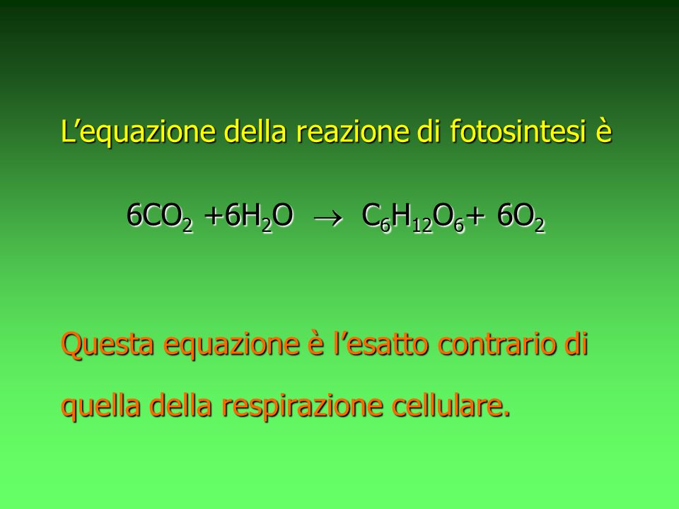 L’equazione della reazione di fotosintesi è
