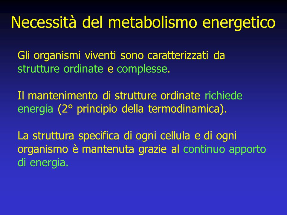 Necessità del metabolismo energetico