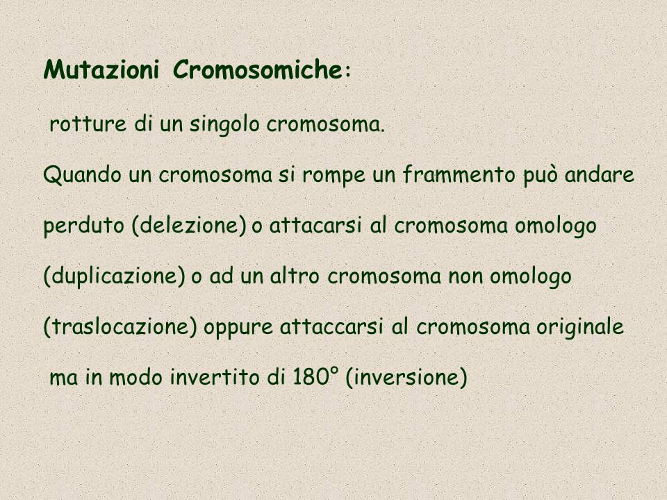 Mutazioni Cromosomiche: