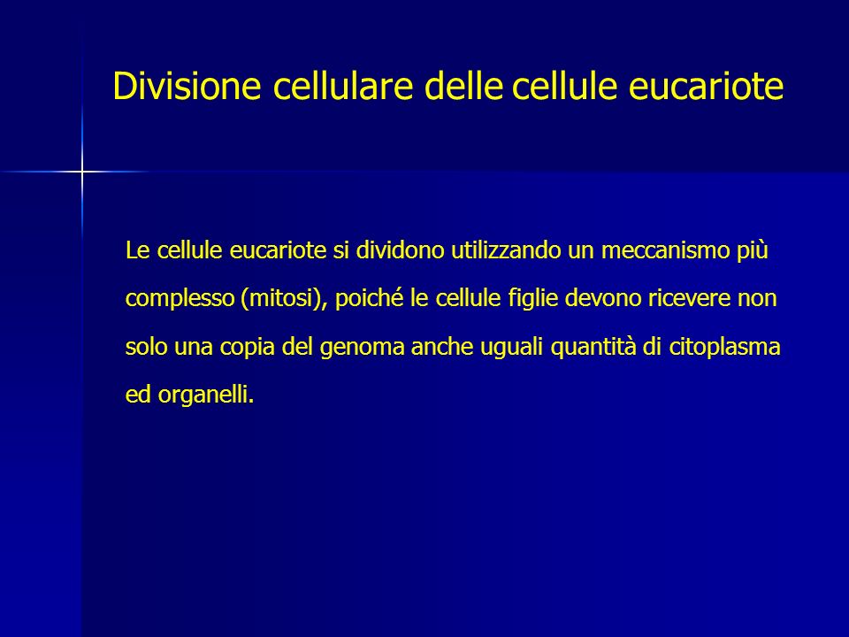 Divisione cellulare delle cellule eucariote