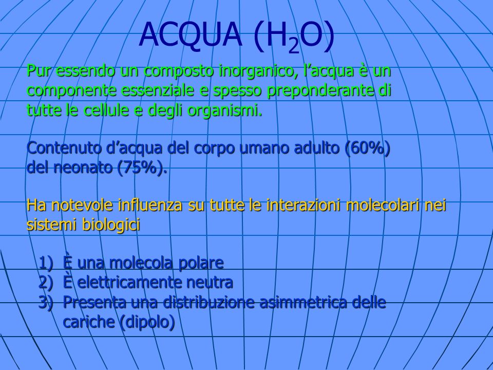 ACQUA (H2O) Pur essendo un composto inorganico, l’acqua è un componente essenziale e spesso preponderante di tutte le cellule e degli organismi.
