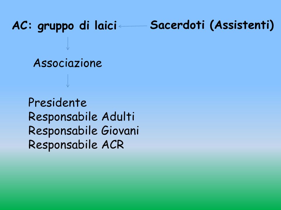 AC: gruppo di laici Sacerdoti (Assistenti) Associazione. Presidente. Responsabile Adulti. Responsabile Giovani.