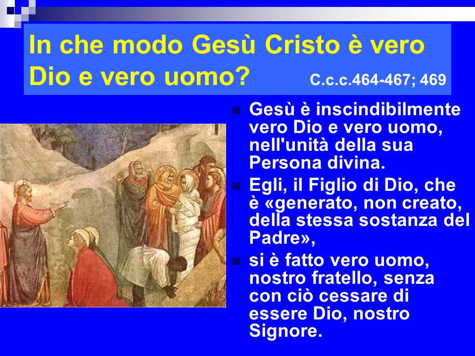 In che modo Gesù Cristo è vero Dio e vero uomo C.c.c ; 469