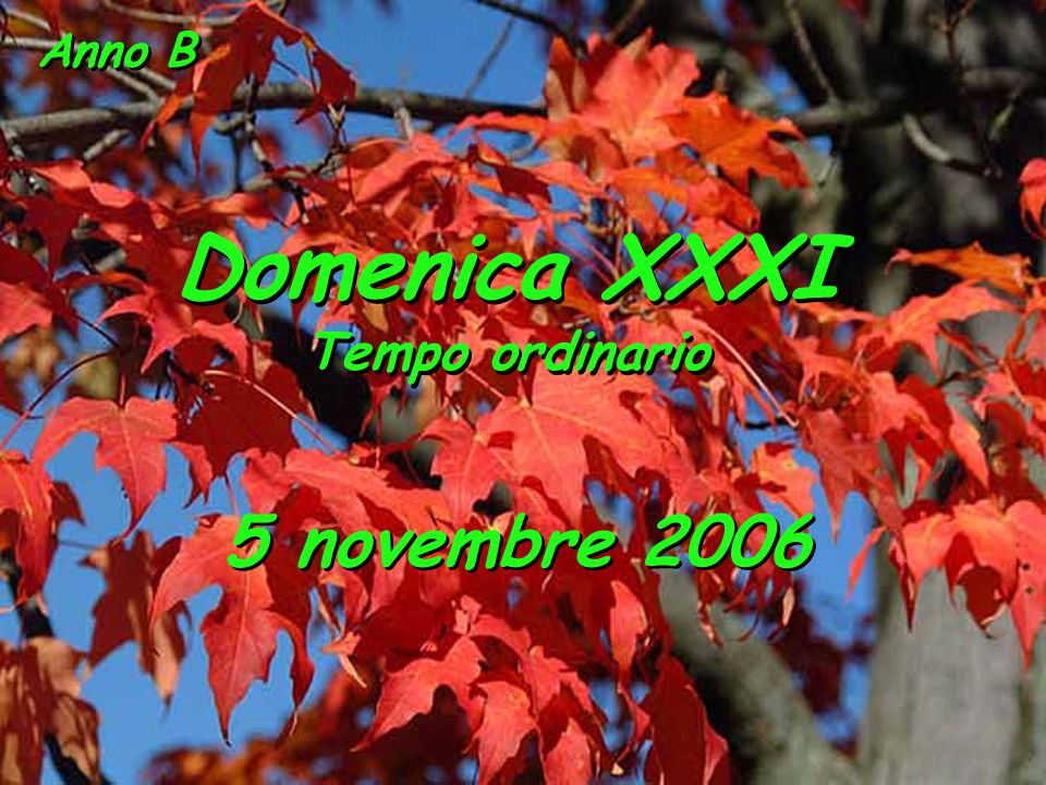 Anno B Domenica XXXI Tempo ordinario 5 novembre 2006
