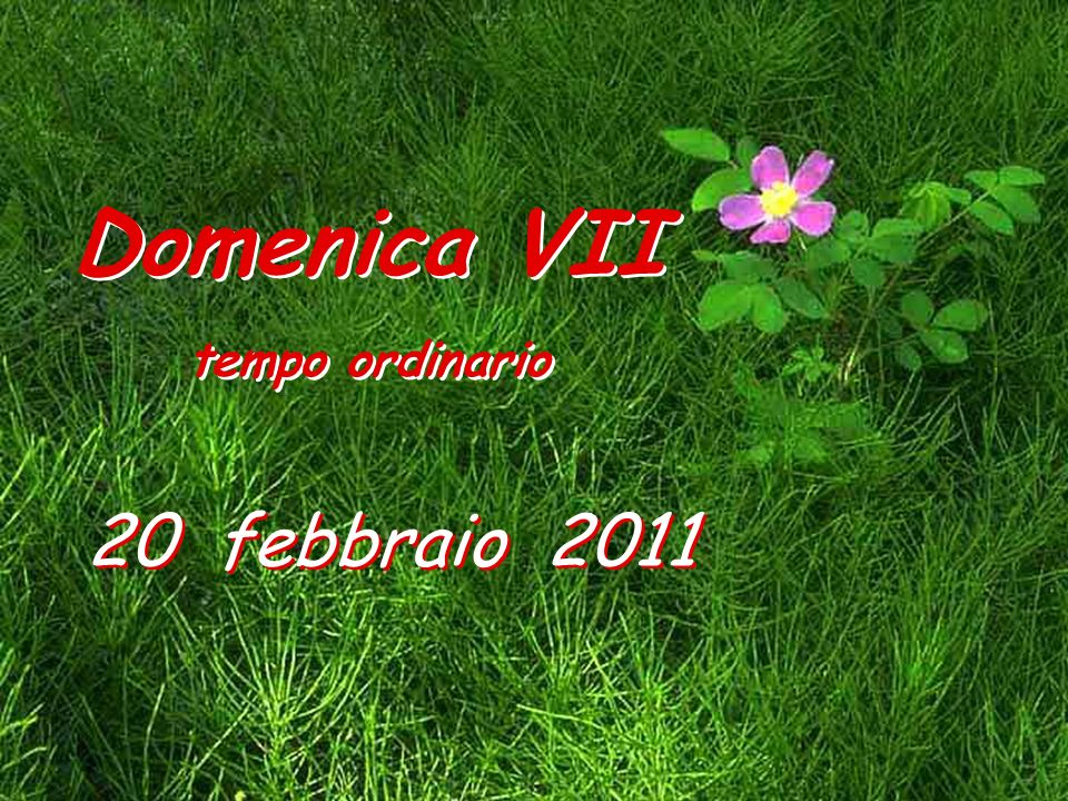 Domenica VII tempo ordinario 20 febbraio 2011