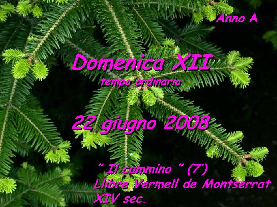 Domenica XII 22 giugno 2008 Llibre Vermell de Montserrat XIV sec.