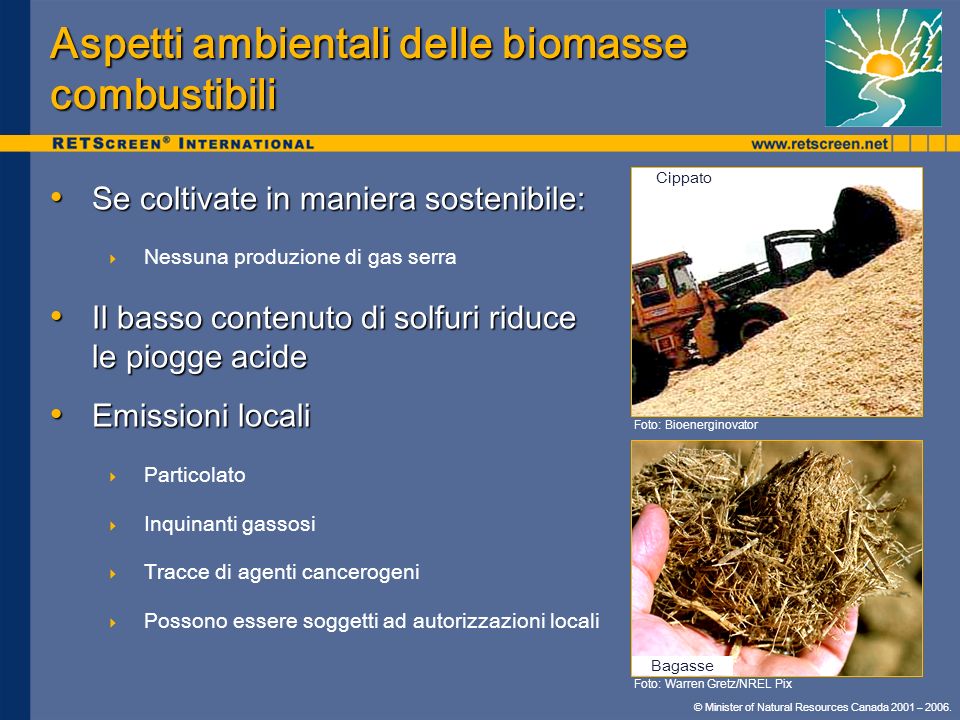 Aspetti ambientali delle biomasse combustibili