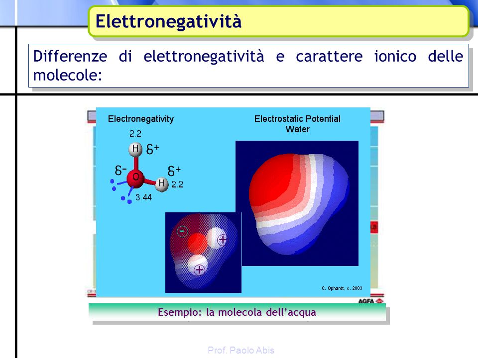 Differenze di elettronegatività e carattere ionico delle molecole: