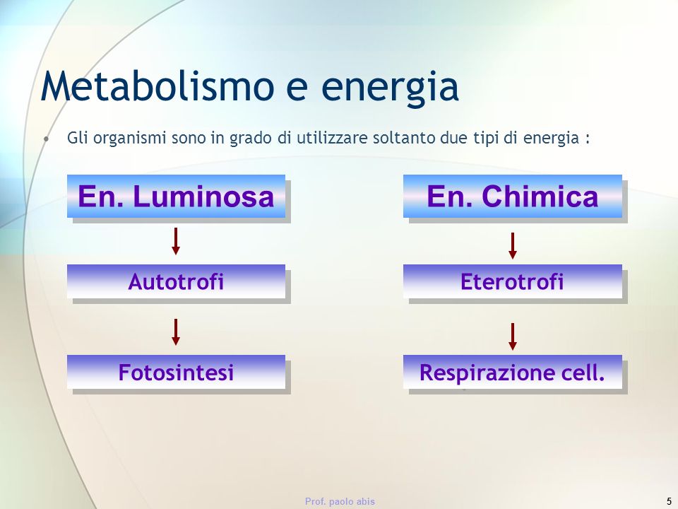 Metabolismo e energia En. Luminosa En. Chimica Autotrofi Eterotrofi