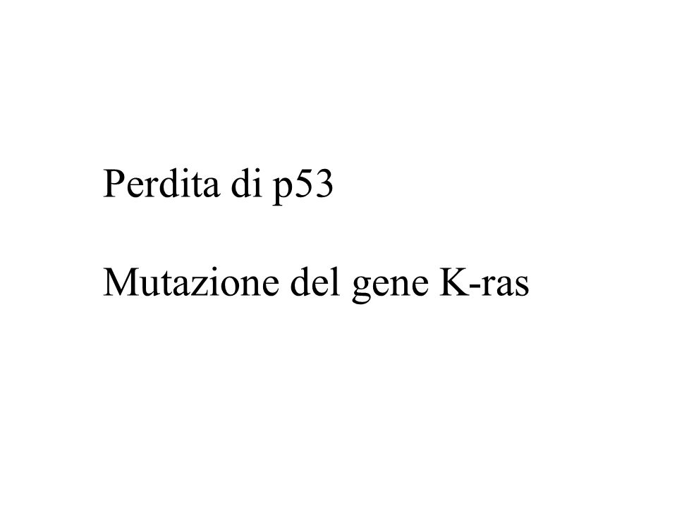 Perdita di p53 Mutazione del gene K-ras