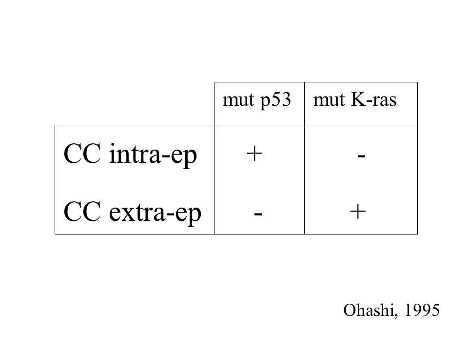 mut p53 mut K-ras CC intra-ep + - CC extra-ep - + Ohashi, 1995