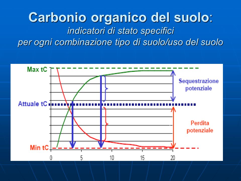 Carbonio organico del suolo: indicatori di stato specifici per ogni combinazione tipo di suolo/uso del suolo