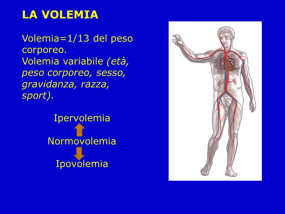 LA VOLEMIA Volemia=1/13 del peso corporeo. Volemia variabile (età, peso corporeo, sesso, gravidanza, razza, sport).