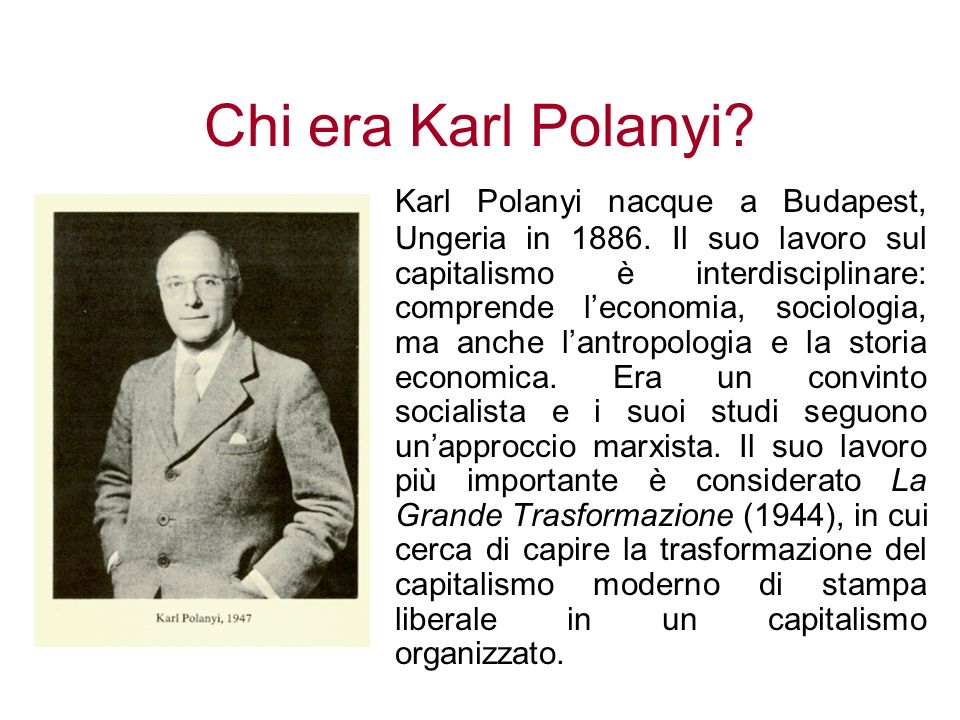 Chi era Karl Polanyi