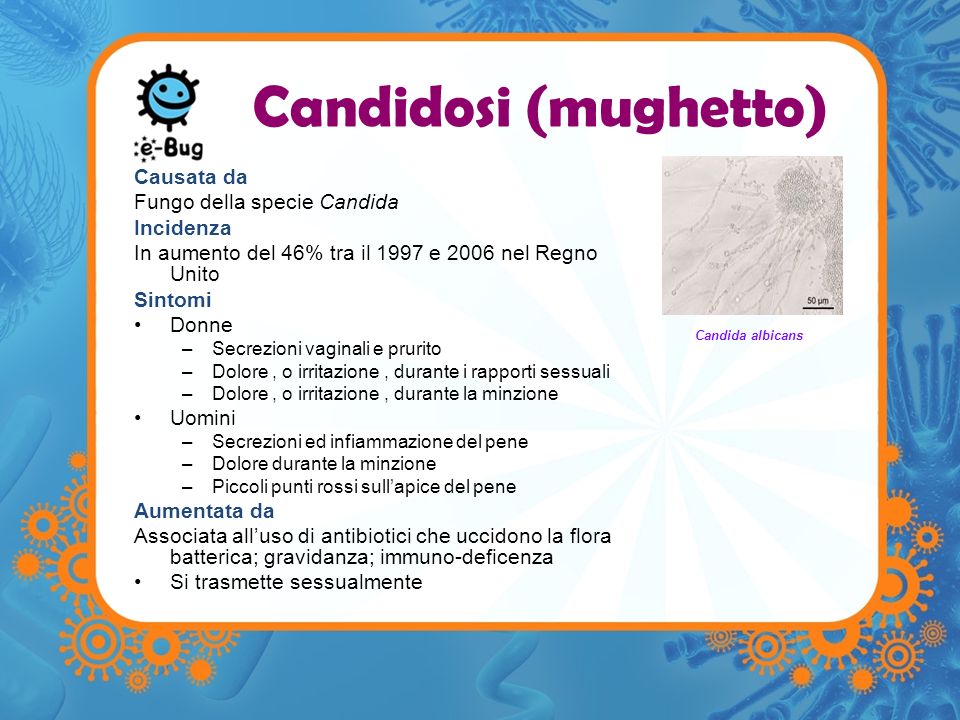 Candidosi (mughetto) Causata da Fungo della specie Candida Incidenza