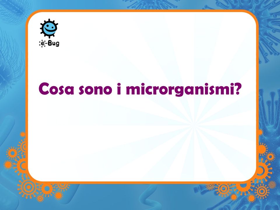 Cosa sono i microrganismi