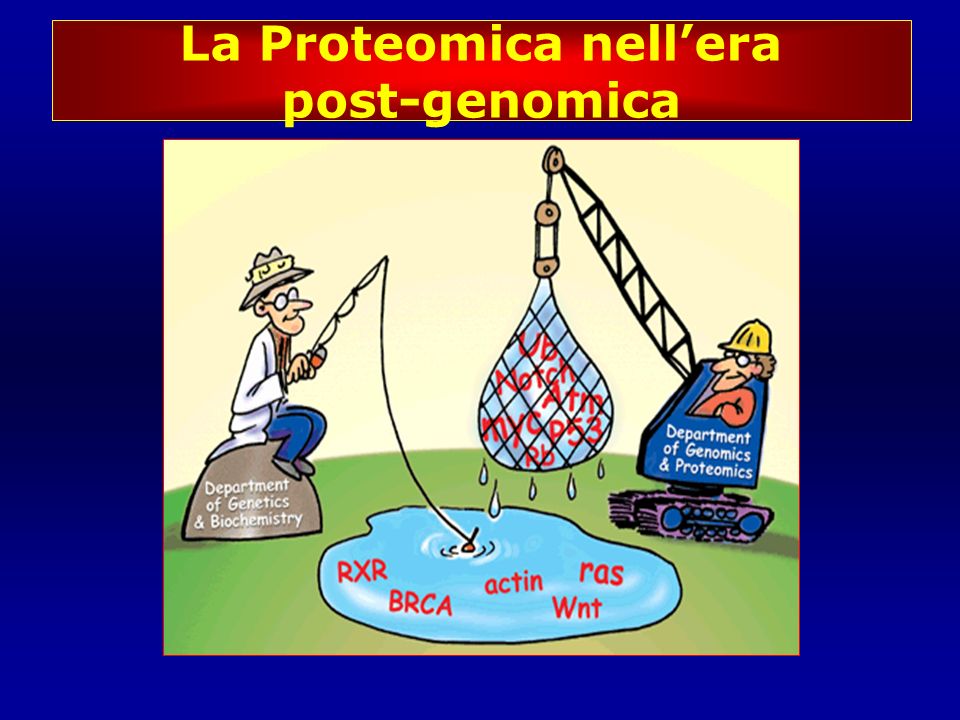 La Proteomica nell’era post-genomica