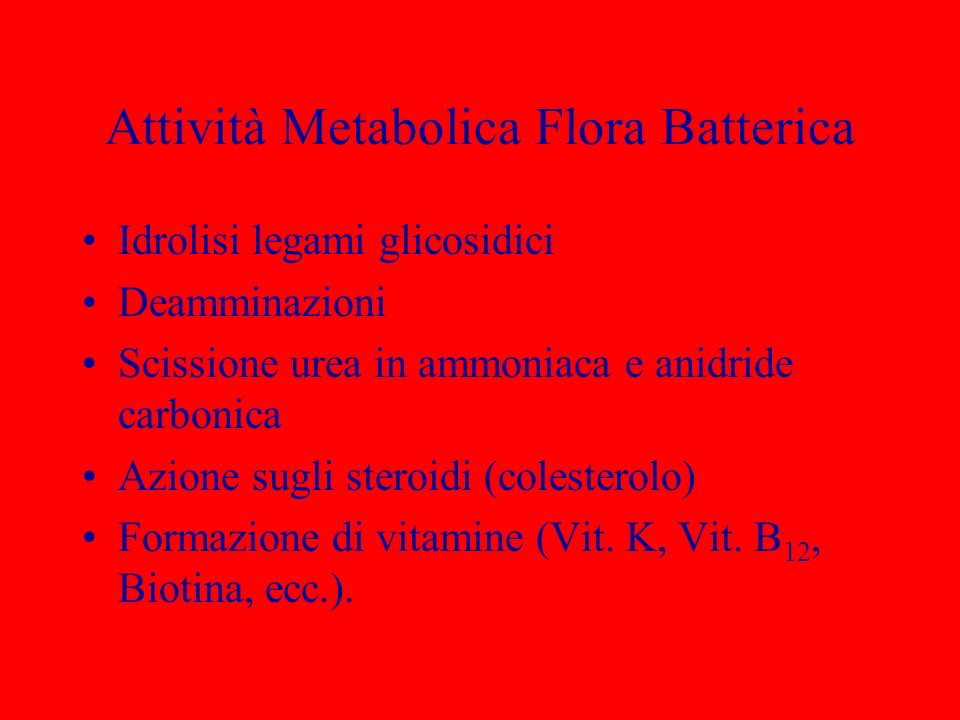 Attività Metabolica Flora Batterica