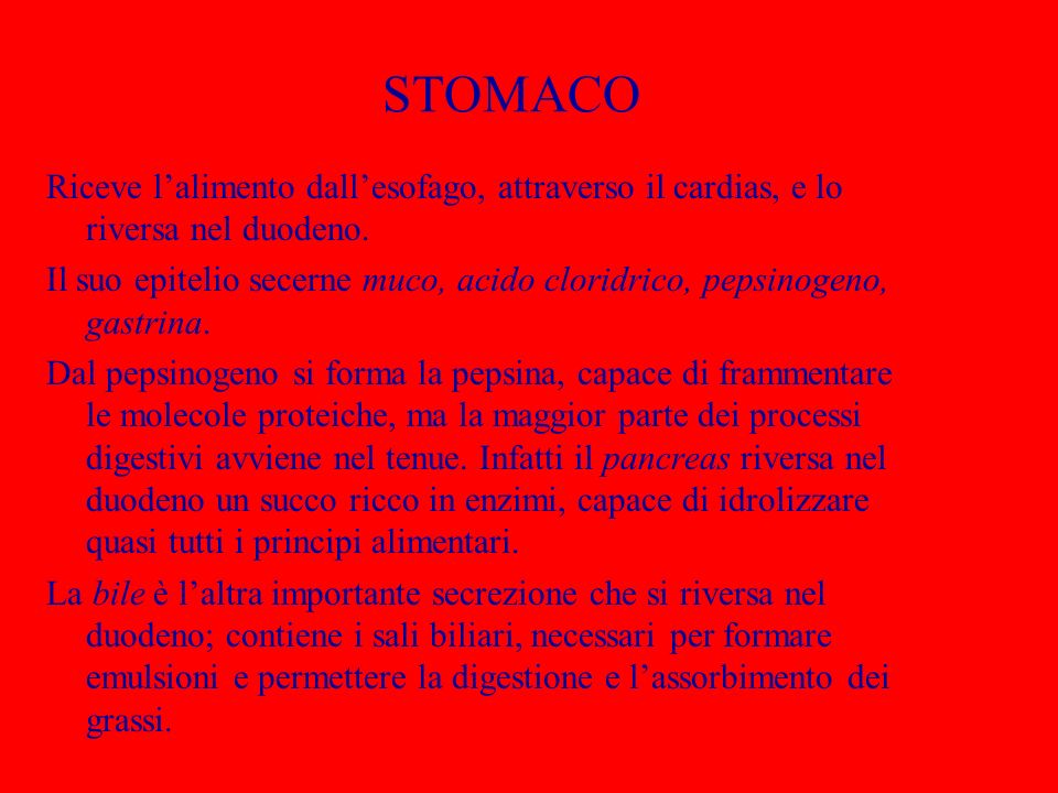 STOMACO Riceve l’alimento dall’esofago, attraverso il cardias, e lo riversa nel duodeno.