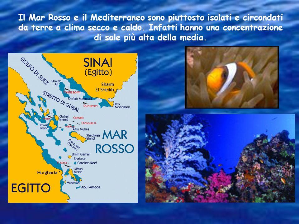Il Mar Rosso e il Mediterraneo sono piuttosto isolati e circondati da terre a clima secco e caldo.