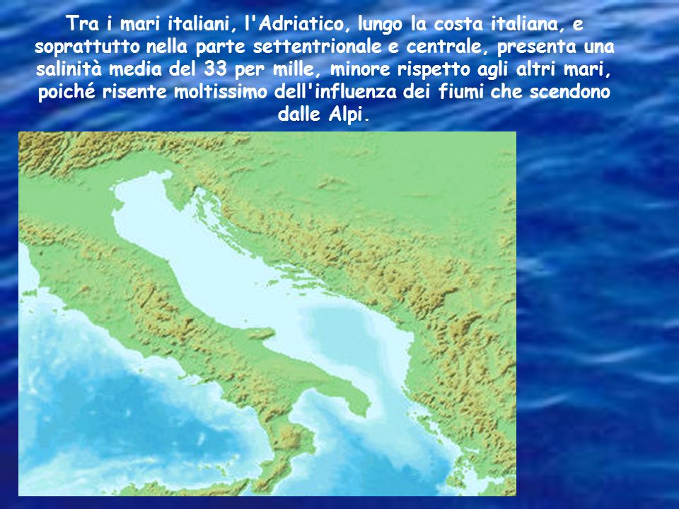 Tra i mari italiani, l Adriatico, lungo la costa italiana, e soprattutto nella parte settentrionale e centrale, presenta una salinità media del 33 per mille, minore rispetto agli altri mari, poiché risente moltissimo dell influenza dei fiumi che scendono dalle Alpi.