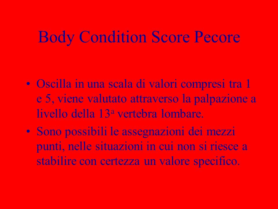 Body Condition Score Pecore
