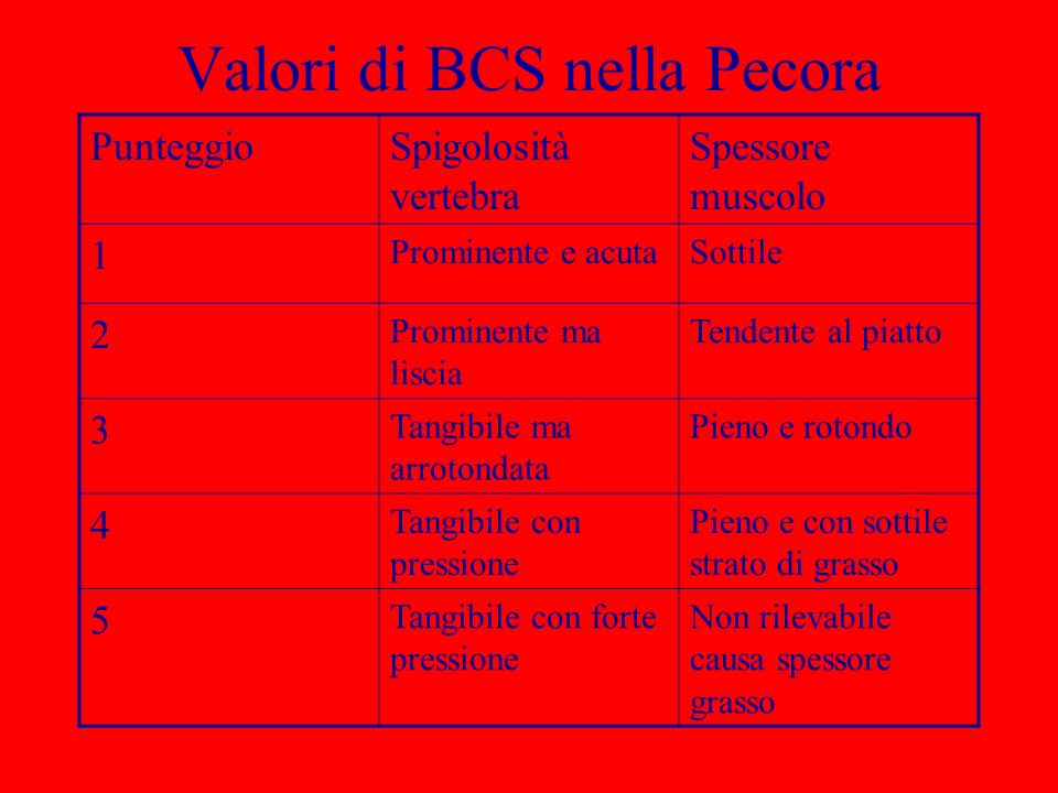 Valori di BCS nella Pecora
