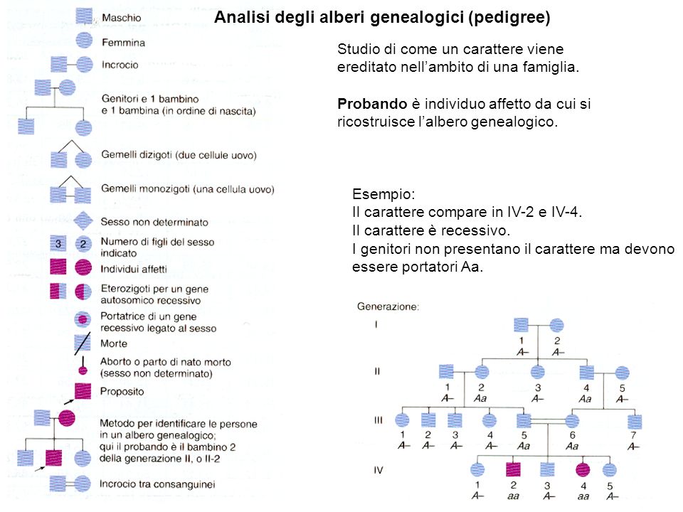 Analisi degli alberi genealogici (pedigree)