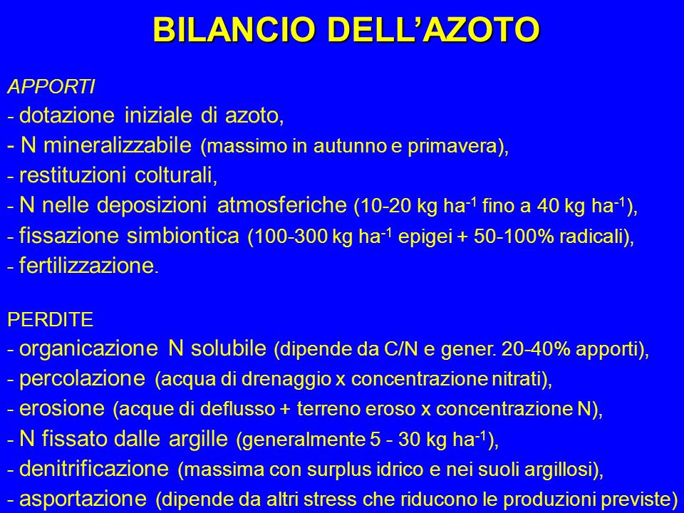BILANCIO DELL’AZOTO APPORTI. - dotazione iniziale di azoto, - N mineralizzabile (massimo in autunno e primavera),