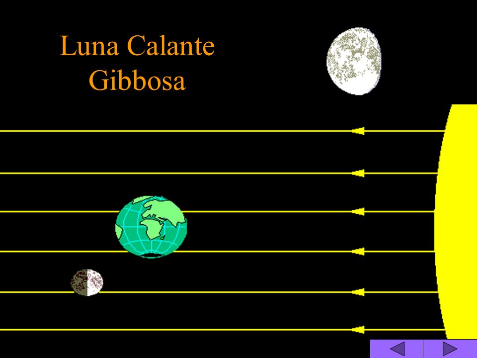 Luna Calante Gibbosa