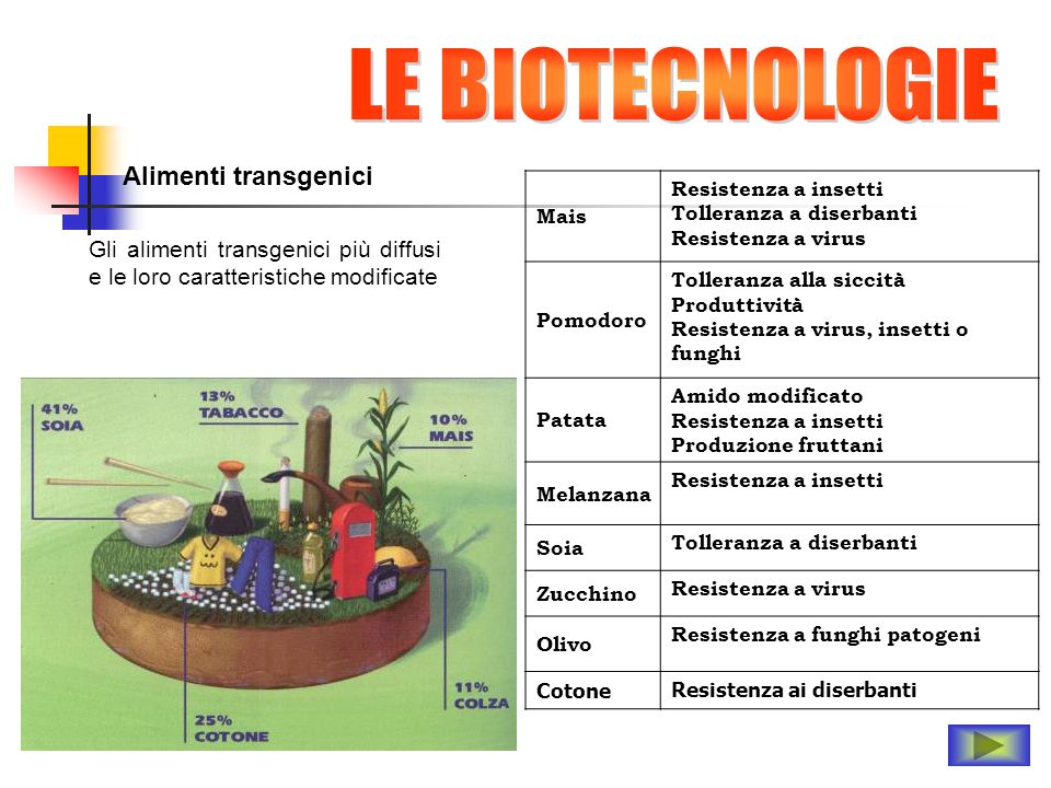 LE BIOTECNOLOGIE Alimenti transgenici