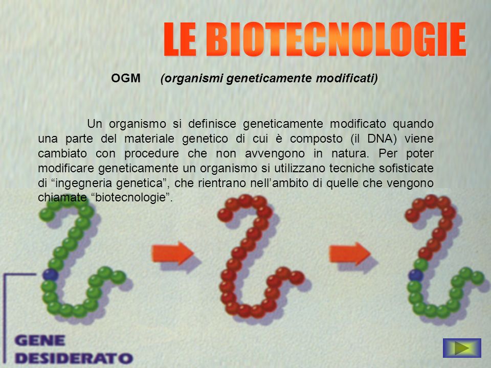 LE BIOTECNOLOGIE OGM (organismi geneticamente modificati)
