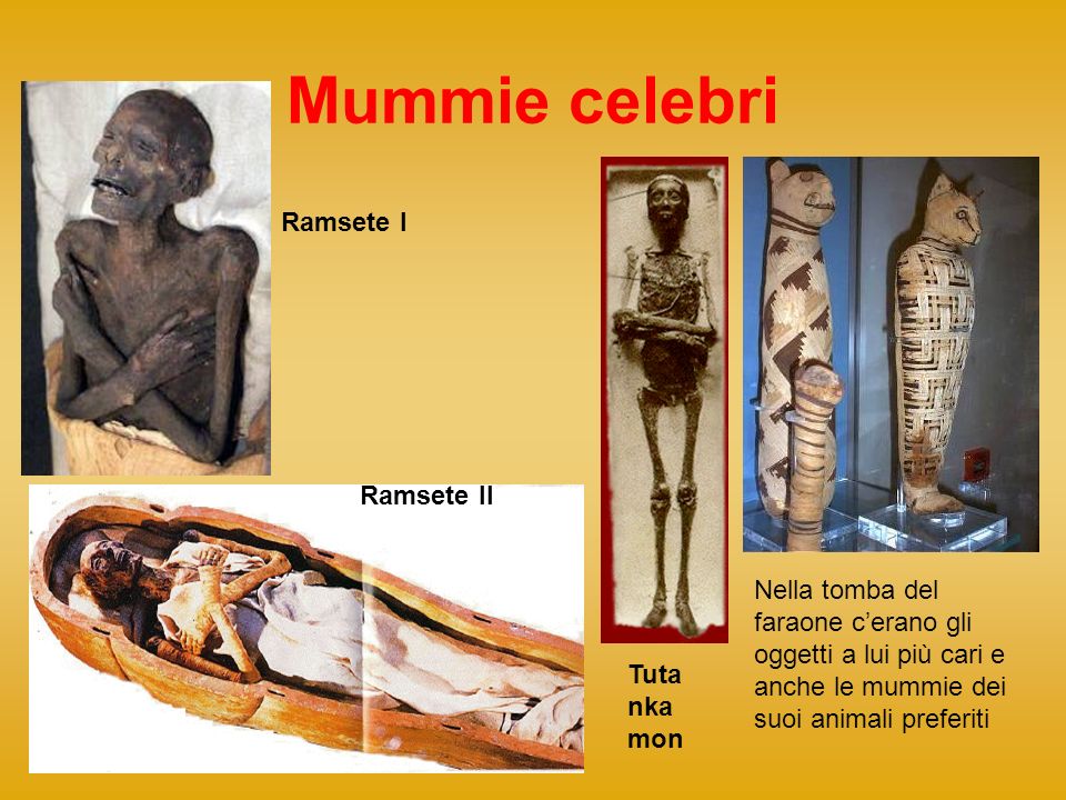 Mummie celebri Ramsete I Ramsete II