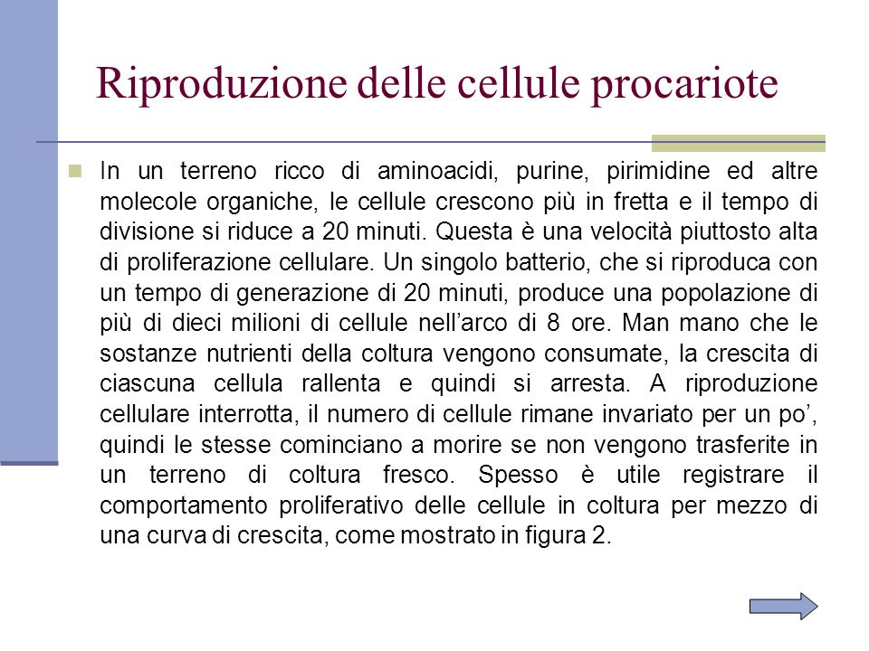 Riproduzione delle cellule procariote