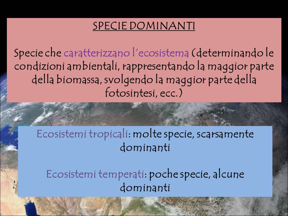 Ecosistemi tropicali: molte specie, scarsamente dominanti
