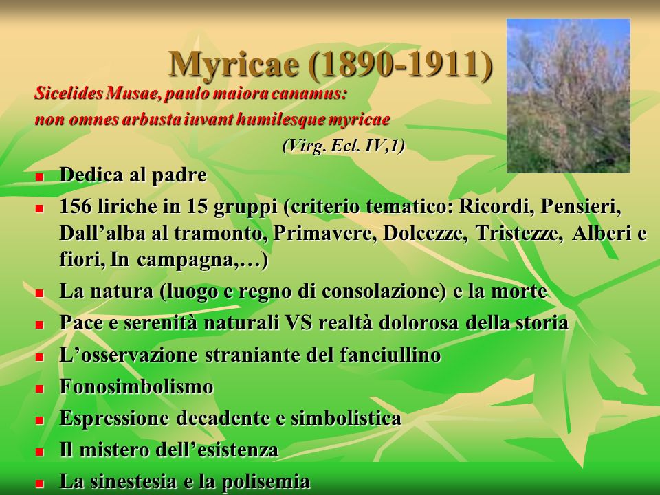 Myricae ( ) Dedica al padre