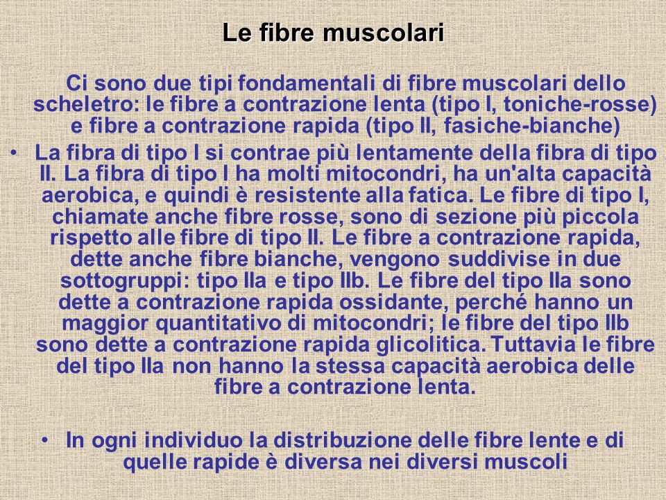 Le fibre muscolari
