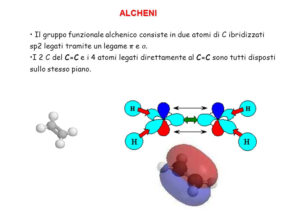 ALCHENI Il gruppo funzionale alchenico consiste in due atomi di C ibridizzati sp2 legati tramite un legame p e s.