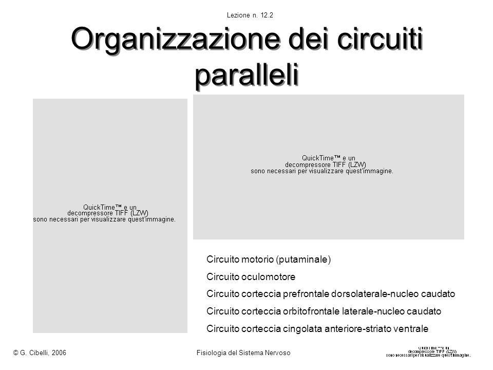 Organizzazione dei circuiti paralleli