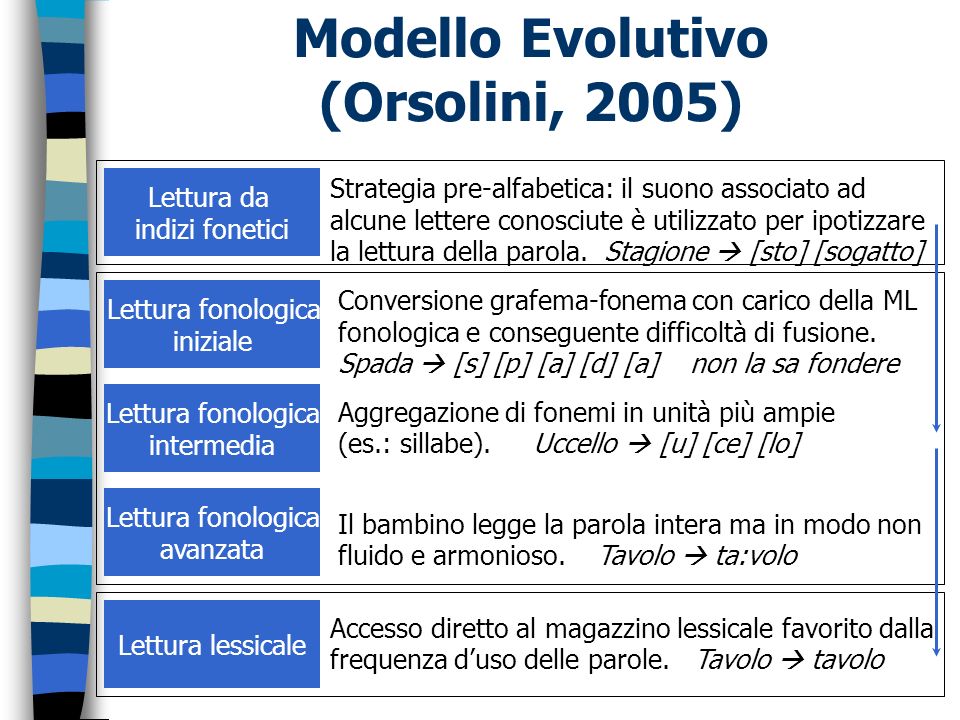 Modello Evolutivo (Orsolini, 2005)