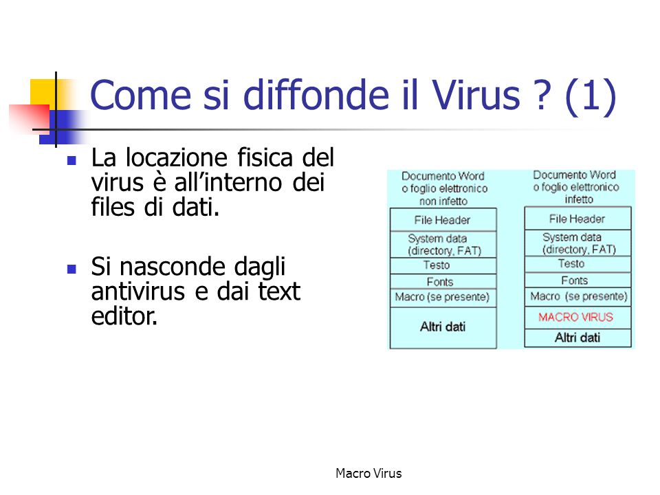 Come si diffonde il Virus (1)