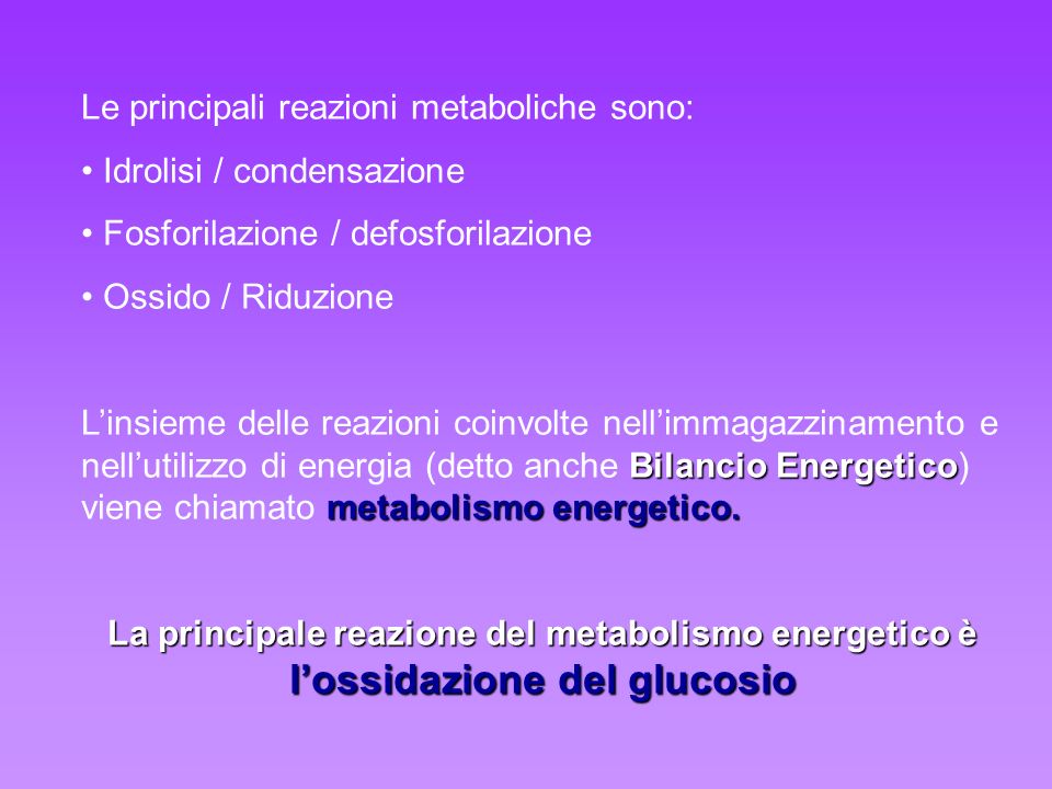 Le principali reazioni metaboliche sono: