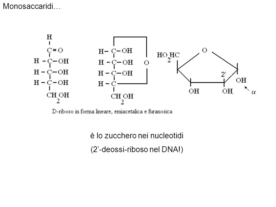 è lo zucchero nei nucleotidi (2’-deossi-riboso nel DNA!)