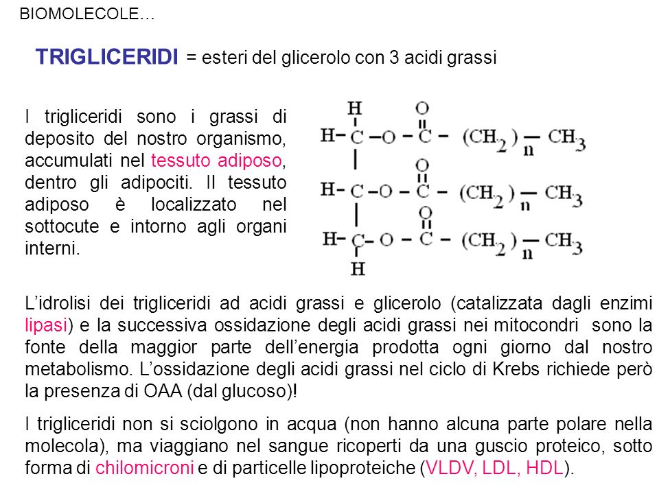 TRIGLICERIDI = esteri del glicerolo con 3 acidi grassi